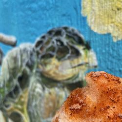 Kohala Shave Ice - Li hing and turtles what else do u need???!