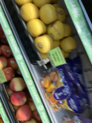 Elm Wellness by null