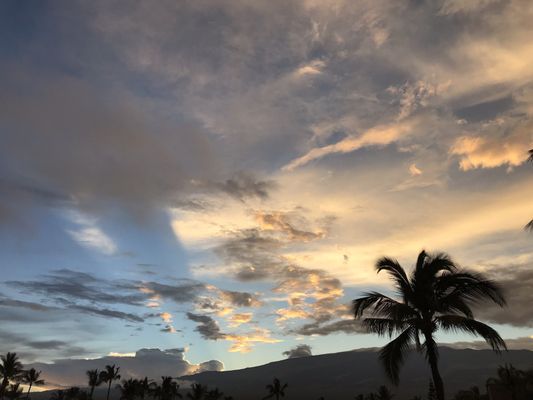Menehune Shores Condominium by null