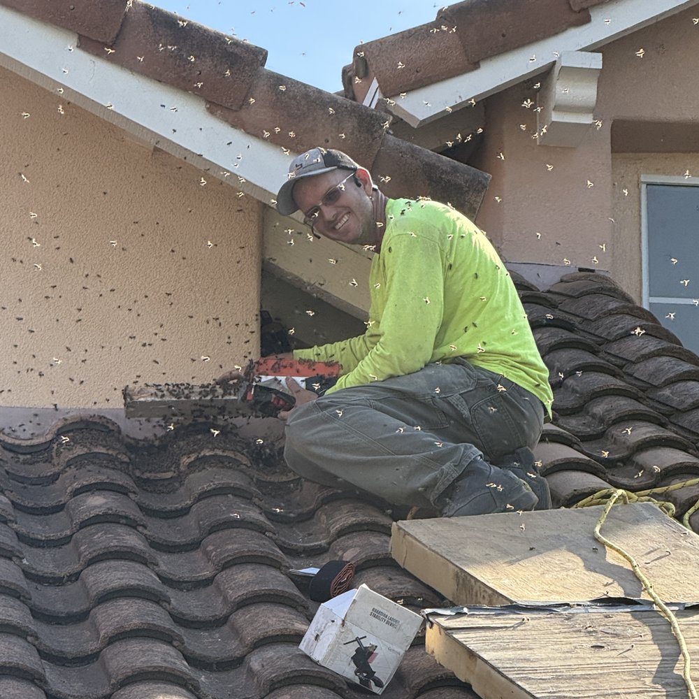 Super Bee Rescue and Removal - When you love your work. Saving bees for future pollinating. - Pest Control Near Me - Santa Barbara, California Super Bee Rescue and Removal - When you love your work. Saving bees for future pollinating. - Pest Control Near Me - Santa Barbara, California