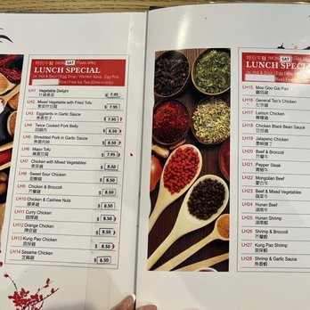 Sichuan Garden - Chinese Near Me - San Antonio, Texas