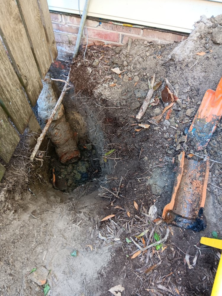 Slide of The Master Plumber