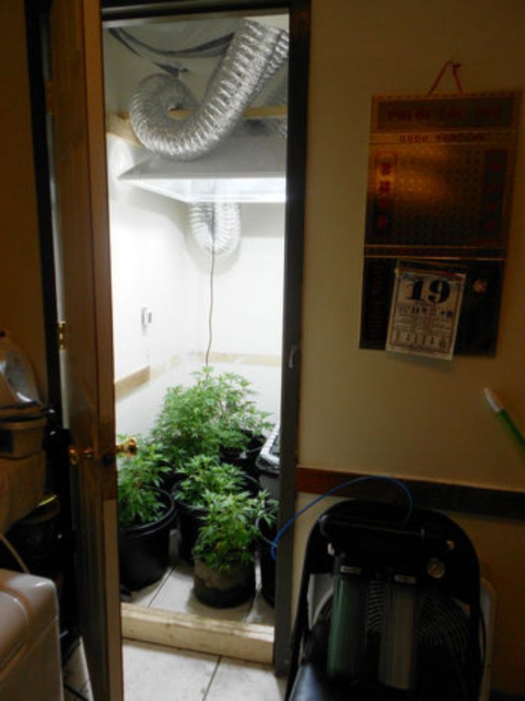 Slide of Invincible services