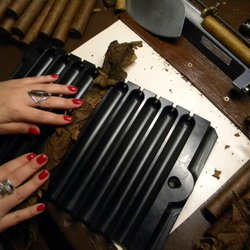 Fort Myers Beach Smoke Shop - Hand-rolling cigars