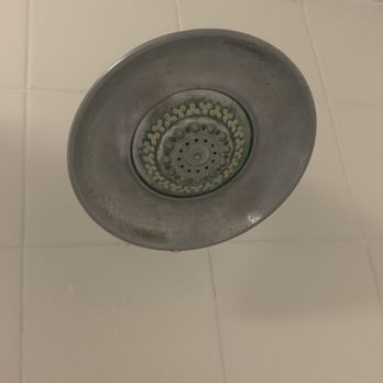 Baymont by Wyndham Kitty Hawk Outer Banks - Shower head with build up - Hotels Near Me - Kitty Hawk, North Carolina