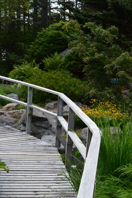 Memorial University Botanical Garden by null