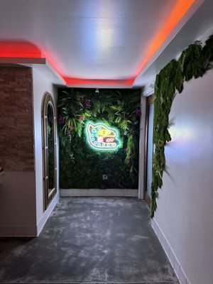 El Sueño by null