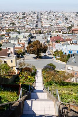 16th Avenue Tiled Steps by null