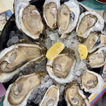 Shucks - Best oysters in Louisiana! - Cajun/Creole Near Me - Abbeville, Louisiana Shucks - Best oysters in Louisiana! - Cajun/Creole Near Me - Abbeville, Louisiana