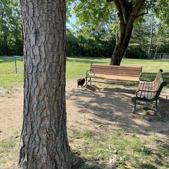 Winchester Dog Park - Dog Parks Near Me - Winchester, Virginia Winchester Dog Park - Dog Parks Near Me - Winchester, Virginia