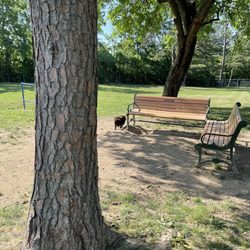 Winchester Dog Park