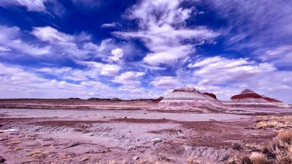 Petrified Forest National Wilderness Area by null