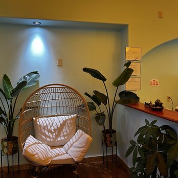 Paradise Boba Tea - Cute space, lots of plants. It's a vibe. - Bubble Tea Near Me - Santa Fe, New Mexico