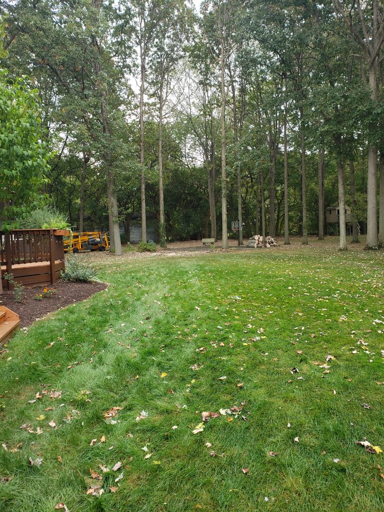 HALL BROTHERS TREE SERVICES 27040 Cook Rd, Olmsted Falls, OH Yelp