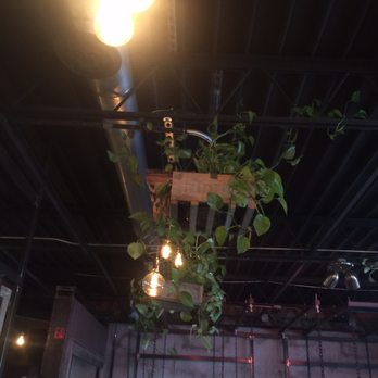 Sabai - Plants - Bars Near Me - Richmond, Virginia Sabai - Plants - Bars Near Me - Richmond, Virginia