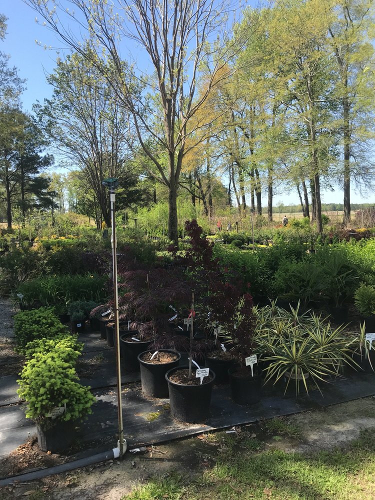 FRIENDLY NURSERY 4496 Old Creek Rd, Greenville, NC Yelp