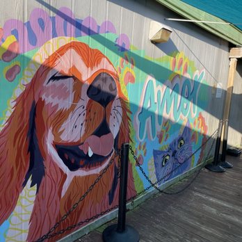 Emancipet - Porch - Veterinarians Near Me - Austin, Texas