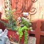 Photo of Cottage Home and Garden
