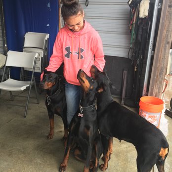 West Coast Doberman Ranch - Pet Groomers Near Me - San Jose, California West Coast Doberman Ranch - Pet Groomers Near Me - San Jose, California