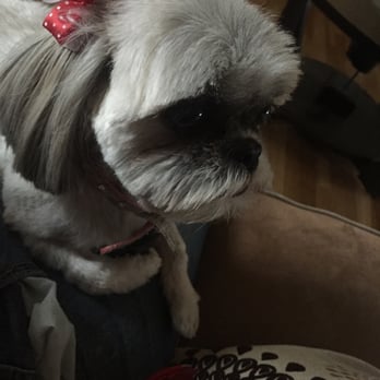 Animal Images - Pet Groomers Near Me - Essex, Maryland Animal Images - Pet Groomers Near Me - Essex, Maryland