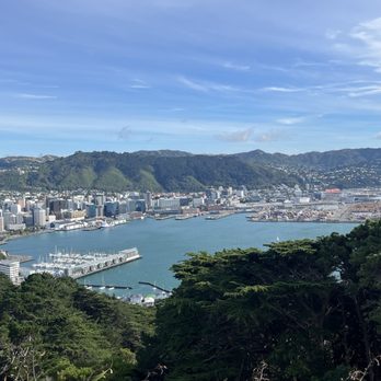 Mount Victoria Lookout - View of harbor - Local Flavor Near Me - Wellington, WGN