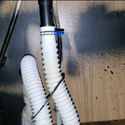 Possible mold under sink