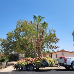 Yuma Master Tree Services