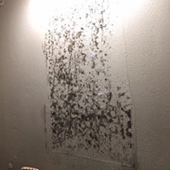 Lakeshore Corporation - mold found behind bathroom mirror - Property Management Near Me - Kirkland, Washington Lakeshore Corporation - mold found behind bathroom mirror - Property Management Near Me - Kirkland, Washington