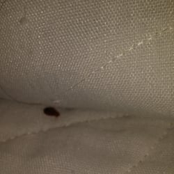 Budget Inn - YUCK!