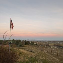 Sol Invictus Vineyard