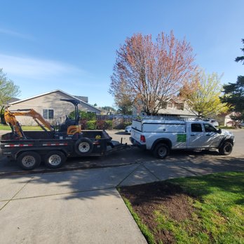 MAHA TREE - Easy removal and debris haulaway with dump trailer. - Tree Services Near Me MAHA TREE - Easy removal and debris haulaway with dump trailer. - Tree Services Near Me
