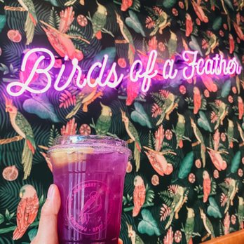 Parakeet Cafe - La Jolla - Iced Pink Lemonade, Instagram: @rhodycoffee - Coffee & Tea Near Me - La Jolla, California Parakeet Cafe - La Jolla - Iced Pink Lemonade, Instagram: @rhodycoffee - Coffee & Tea Near Me - La Jolla, California