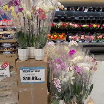 Pacific Fresh Food Market - Orchids - Grocery Near Me - Pickering, Ontario