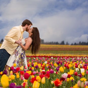 Monkey Photography Design - Engagement wooden shoe tulip farm - Event Photography Near Me