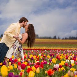 Monkey Photography Design - Engagement wooden shoe tulip farm