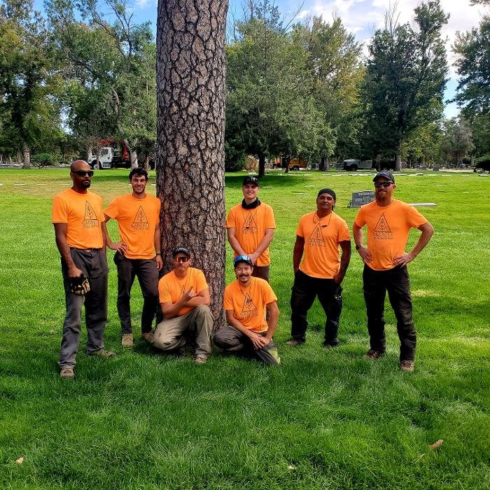 Garrett Tree Service - tree service in Colorado Springs, CO