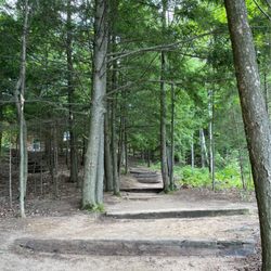 Silver Birch Ranch