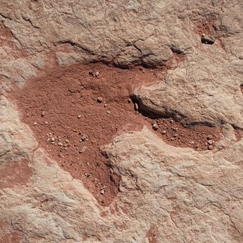 Dinosaur Tracks - Landmarks & Historical Buildings Near Me - Tuba City, Arizona