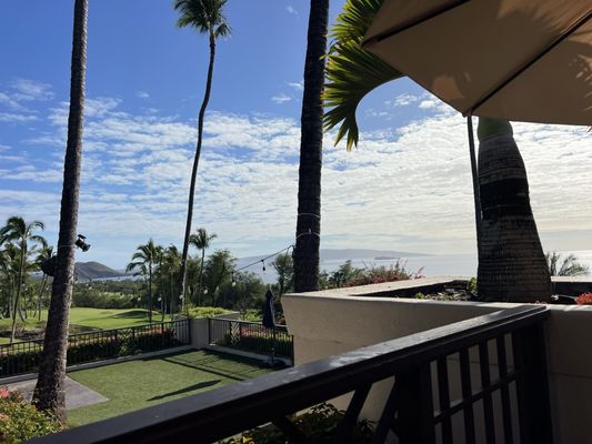 Gather on Maui for Food + Drink by null