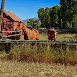 Hansen Guest Ranch