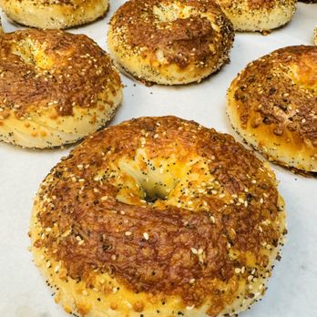 Bagel Loops - New!! Cheddar everything!!!! - Bagels Near Me - Wayne, New Jersey Bagel Loops - New!! Cheddar everything!!!! - Bagels Near Me - Wayne, New Jersey