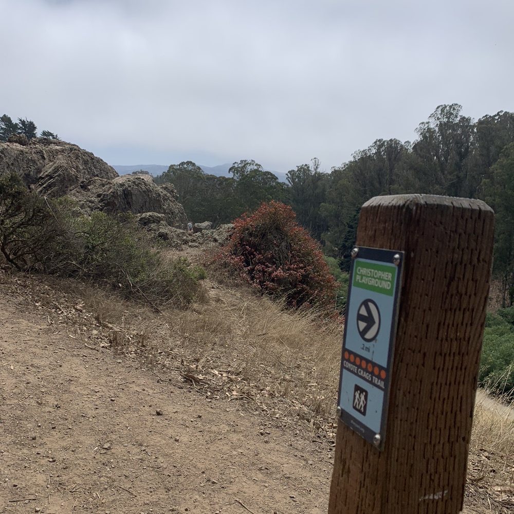 Glen Canyon Park - Glen Canyon Park 07.24.21|Saturday - Parks Near Me - San Francisco, California Glen Canyon Park - Glen Canyon Park 07.24.21|Saturday - Parks Near Me - San Francisco, California