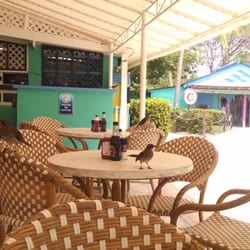 Iguana's Cafe - Outdoor seating. Many Birds.