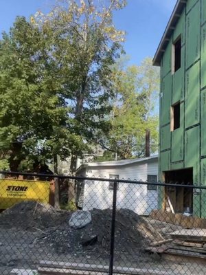 Schiller Plumbing Services