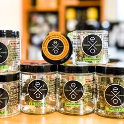 Experience Organics