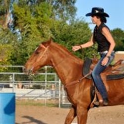 Kings Victory Farms - Alice Andrews invites you to visit Kings Victory Farms Riding Stable