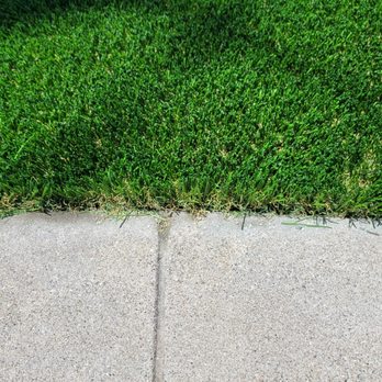 Turf World - Artificial Turf Near Me - San Leandro, California Turf World - Artificial Turf Near Me - San Leandro, California