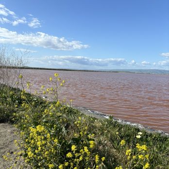 Alviso Marina County Park - Parks Near Me - Alviso, California