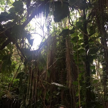 Biosphere 2 - Amazon tropical forest eco system - Museums Near Me - Oracle, Arizona Biosphere 2 - Amazon tropical forest eco system - Museums Near Me - Oracle, Arizona