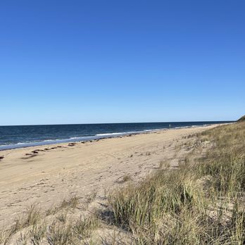 Art's Dune Tours - Tours Near Me - Provincetown, Massachusetts